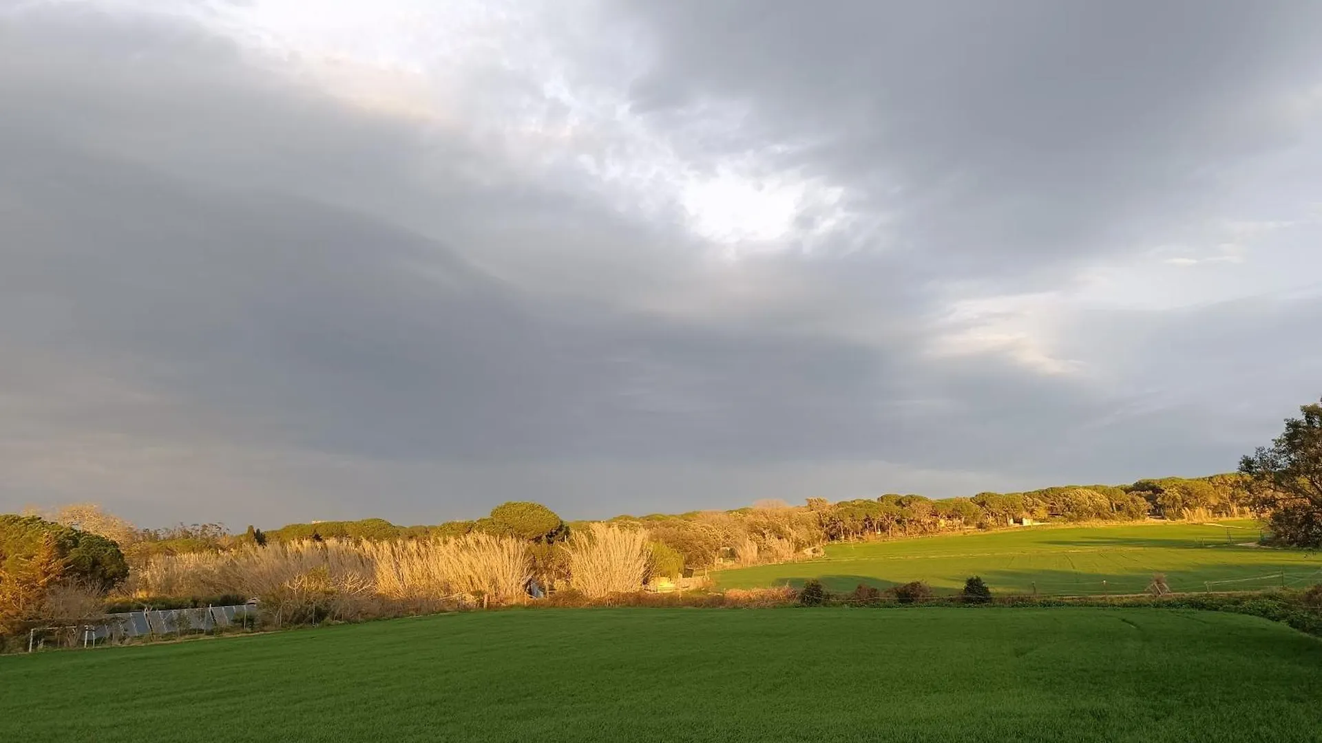 Vila Mas Fina Palafrugell Prázdninový dům